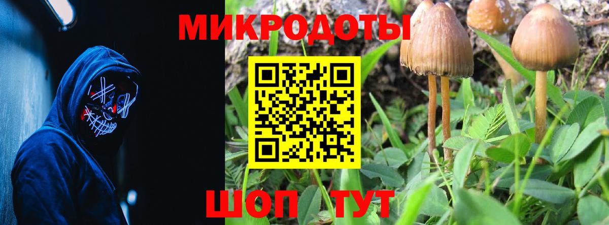 Псилоцибиновые грибы прущие грибы Александров